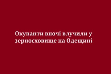 Окупанти вночі влучили у зерносховище на Одещині Окупанти вночі влучили у зерносховище на Одещині