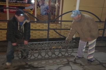 В Миколаєві безхатьки майже вкрали 100 кг металобрухту В Миколаєві безхатьки майже вкрали 100 кг металобрухту