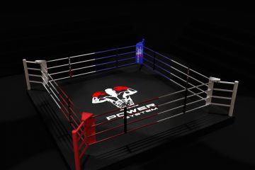 Хто буде виступати на ринзі у 2021 році, і чиї бої з захопленням спостерігатиме вся країна?  Хто буде виступати на ринзі у 2021 році, і чиї бої з захопленням спостерігатиме вся країна?