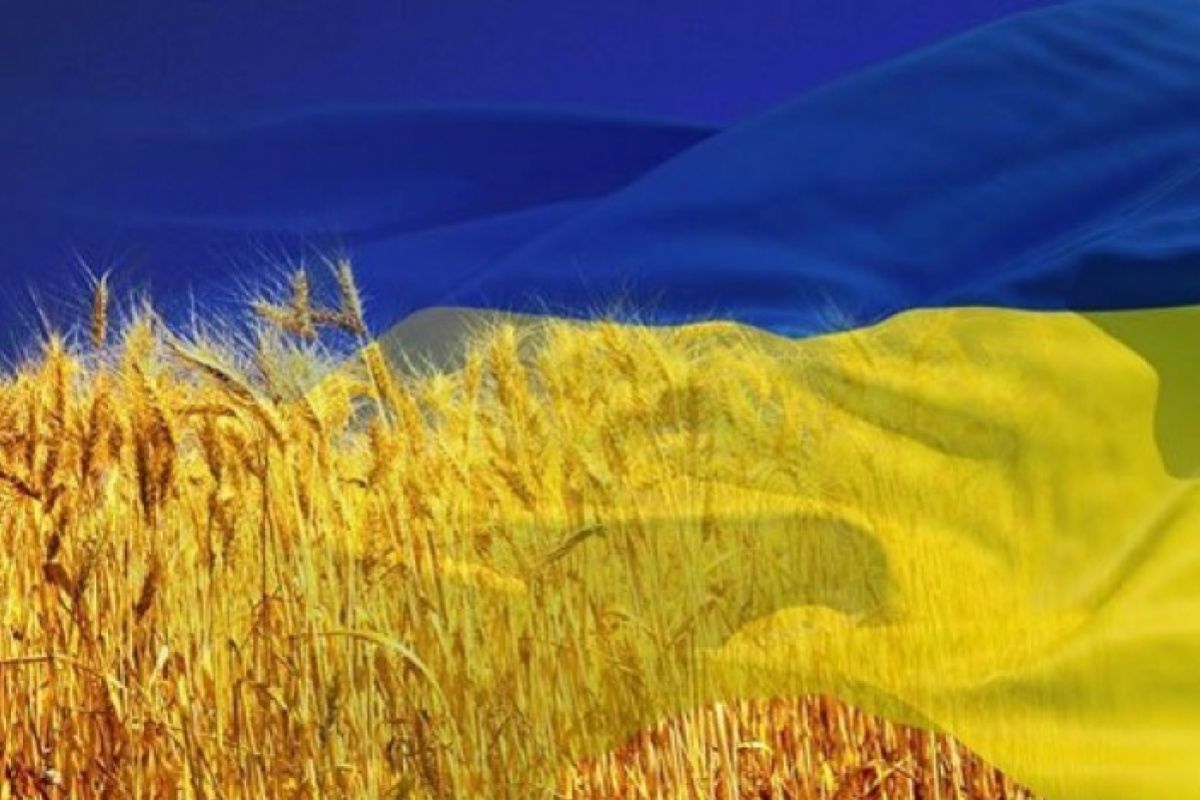 Що Україна робитиме у 2021 році? Що Україна робитиме у 2021 році?