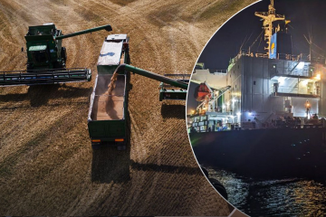 "Зернову угоду" продовжено на 120 днів "Зернову угоду" продовжено на 120 днів