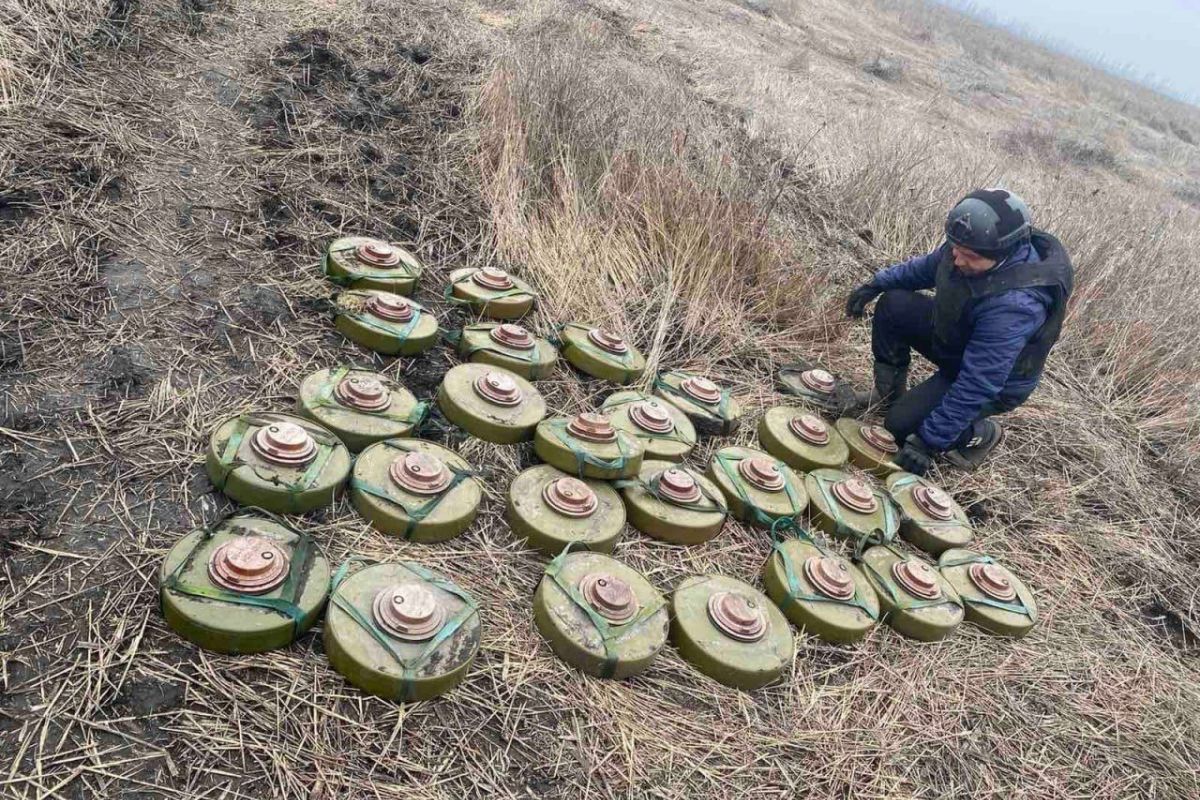 Такі "урожаї" ворожих мін та боєприпасів ледь не щодня збирають піротехніки на Харківщині Такі "урожаї" ворожих мін та боєприпасів ледь не щодня збирають піротехніки на Харківщині