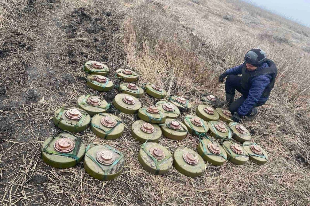 Такі "урожаї" ворожих мін та боєприпасів ледь не щодня збирають піротехніки на Харківщині