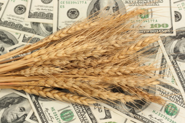 Сідляренко, Корлюк, Олефір. Як фітосанітарна інспекція наживається під час війни Сідляренко, Корлюк, Олефір. Як фітосанітарна інспекція наживається під час війни