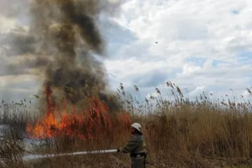 ​Рятувальники Херсонщини за тиждень загасили 54 пожежі в екосистемах області