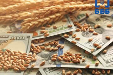 Ймовірні втрати бюджету від діяльності агротрейдерів складають 4,8 млрд грн податків. Неповернення ними валютної виручки може скласти 1,8 млрд дол. США. Ймовірні втрати бюджету від діяльності агротрейдерів складають 4,8 млрд грн податків. Неповернення ними валютної виручки може скласти 1,8 млрд дол. США.