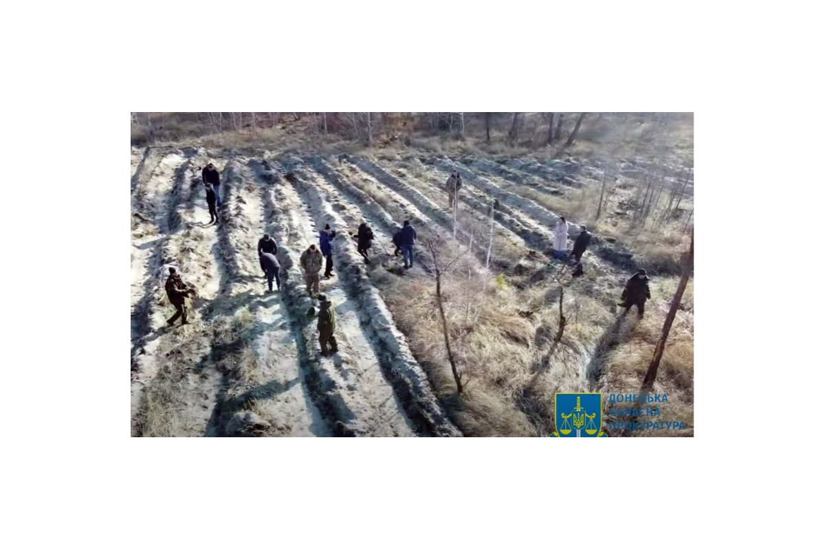 Флешмоб триває: донецькі прокурори відновили ліс, знищений окупантами у 2014 році 