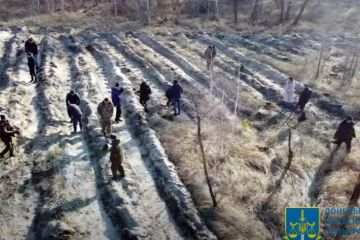 Флешмоб триває: донецькі прокурори відновили ліс, знищений окупантами у 2014 році  Флешмоб триває: донецькі прокурори відновили ліс, знищений окупантами у 2014 році