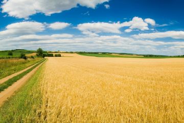 Прокуратура повернула державі землі лісфонду на Луганщині вартістю понад 100 млн грн Прокуратура повернула державі землі лісфонду на Луганщині вартістю понад 100 млн грн