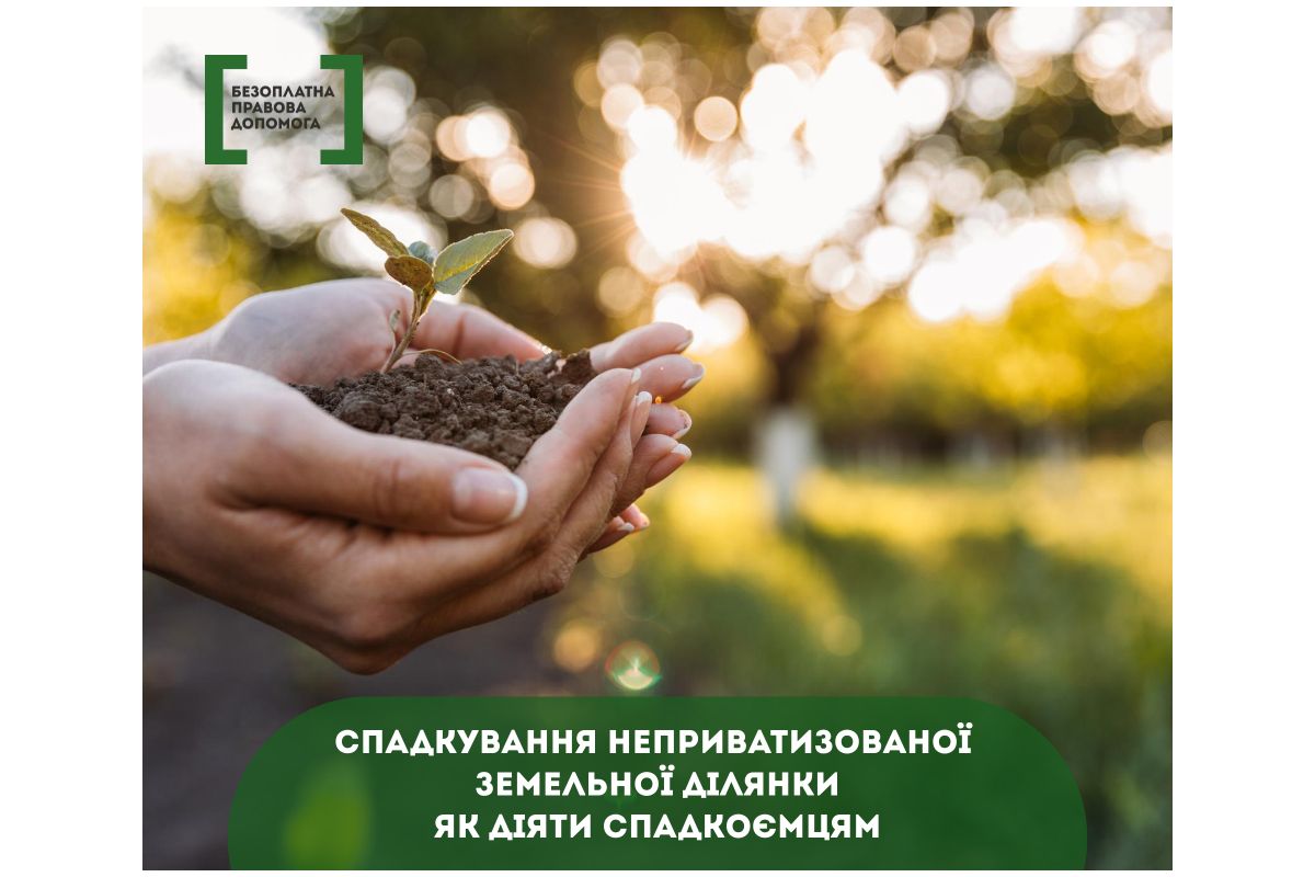 Спадкування неприватизованої земельної ділянки. Як діяти спадкоємцям Спадкування неприватизованої земельної ділянки. Як діяти спадкоємцям