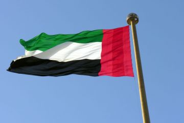Україна очікує, що ОАЕ долучаться до відбудови держави Україна очікує, що ОАЕ долучаться до відбудови держави
