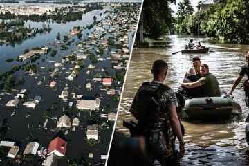 Тіла трьох мертвих корів прибило до узбережжя Чорного моря на території Болгарії Тіла трьох мертвих корів прибило до узбережжя Чорного моря на території Болгарії