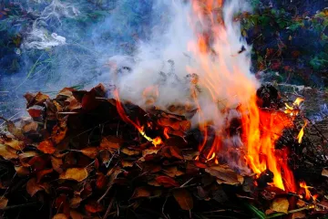 ​На Дніпропетровщині на любителів спалювати сухе листя чекають штрафи