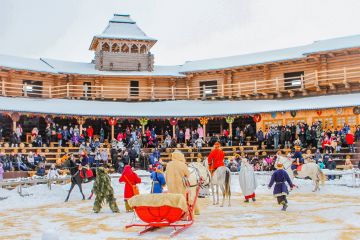 Під Києвом проходить цикл новорічних шоу Під Києвом проходить цикл новорічних шоу