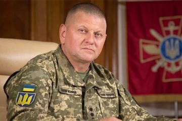 Залужний висловився щодо посилення відповідальності за дезертирство та непокору військовослужбовців Залужний висловився щодо посилення відповідальності за дезертирство та непокору військовослужбовців