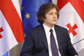 Грузія не запроваджуватиме санкції проти рф Грузія не запроваджуватиме санкції проти рф