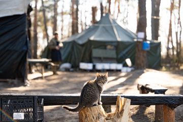 115 бригада ЗСУ: А що в нас сьогодні на обід? 115 бригада ЗСУ: А що в нас сьогодні на обід?