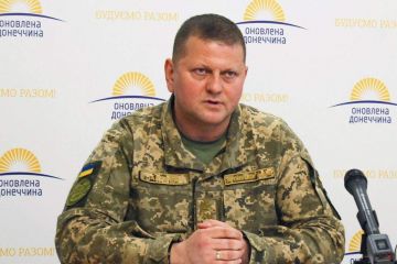 Ми обовʼязково збережемо весь досвід цієї важкої війни і поділимося ним з партнерами, щоб світове зло було покаране – генерал Валерій Залужний Ми обовʼязково збережемо весь досвід цієї важкої війни і поділимося ним з партнерами, щоб світове зло було покаране – генерал Валерій Залужний