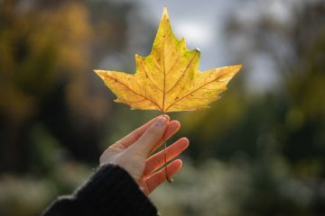 Погода сьогодні та що говорять народні повір'я Погода сьогодні та що говорять народні повір'я