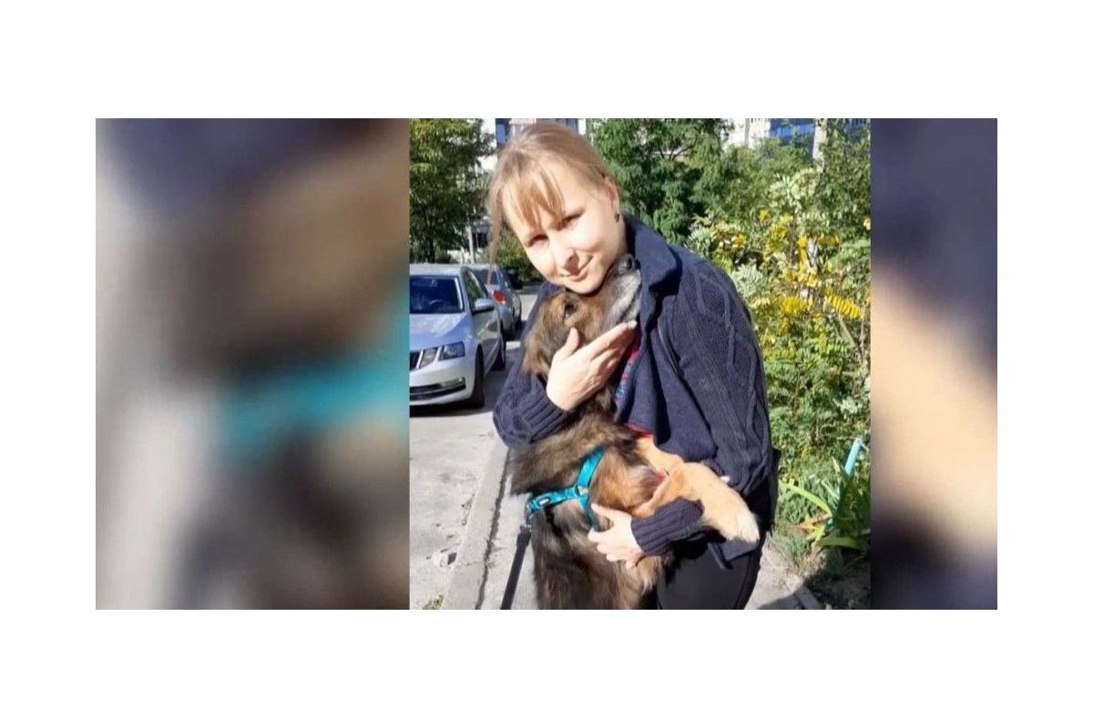 Зустріч після довгих 11 років зникнення Зустріч після довгих 11 років зникнення