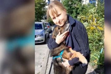 Зустріч після довгих 11 років зникнення Зустріч після довгих 11 років зникнення