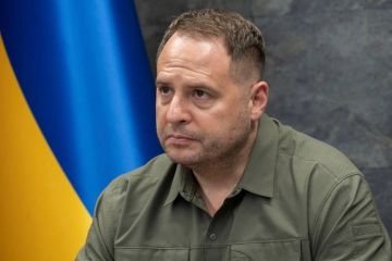 Україна вже знищила майже 50% потенціалу головної загрози НАТО у вигляді рф Україна вже знищила майже 50% потенціалу головної загрози НАТО у вигляді рф