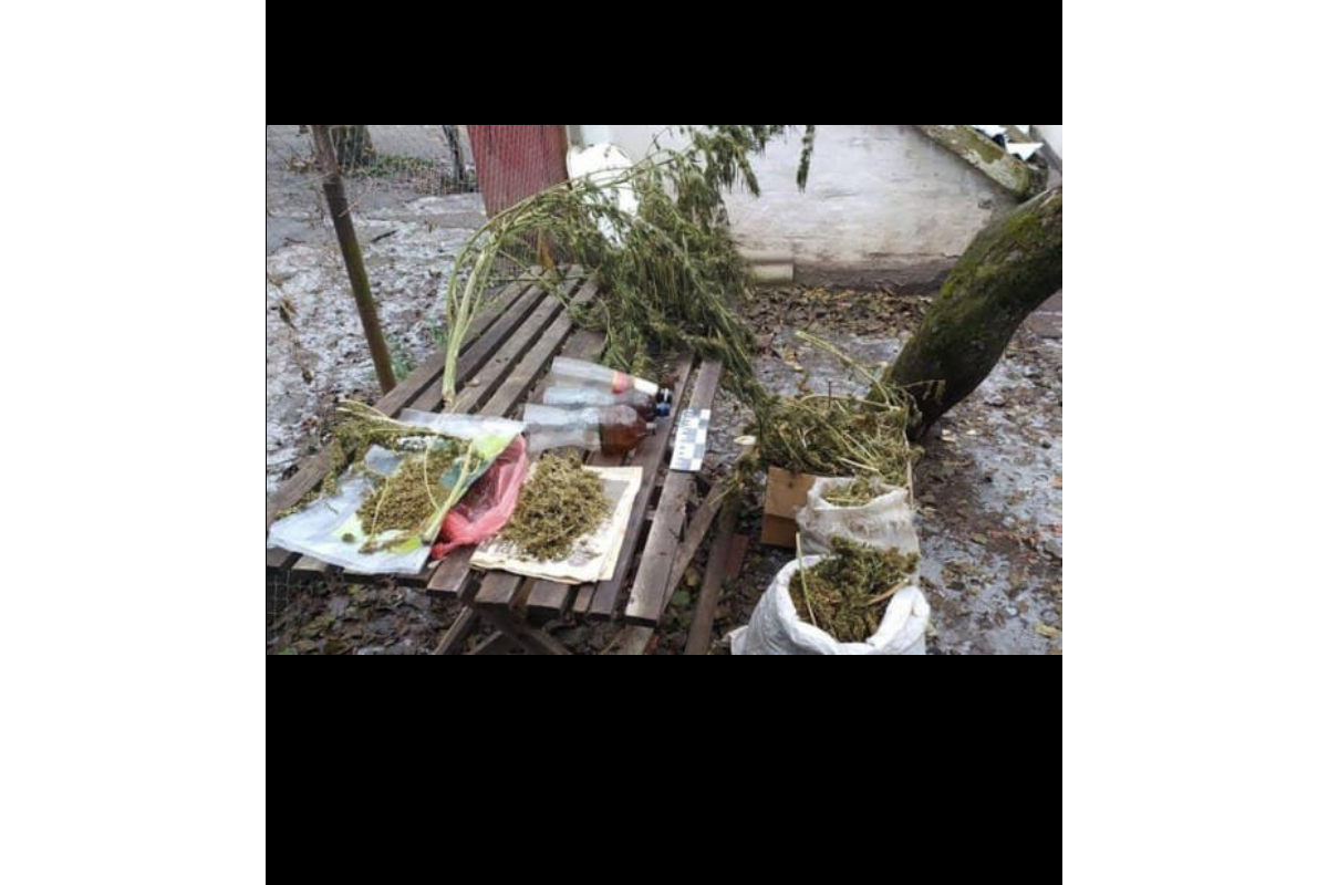 Купив будинок з наркотиками. Поліція виявила у черкащанина п’ять кілограмів наркотиків Купив будинок з наркотиками. Поліція виявила у черкащанина п’ять кілограмів наркотиків