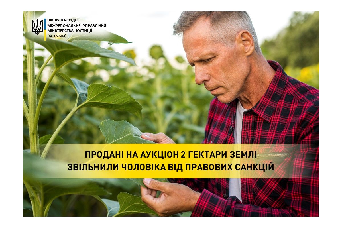 Продані на аукціон 2 гектари землі звільнили чоловіка від правових санкцій Продані на аукціон 2 гектари землі звільнили чоловіка від правових санкцій