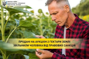 Продані на аукціон 2 гектари землі звільнили чоловіка від правових санкцій Продані на аукціон 2 гектари землі звільнили чоловіка від правових санкцій