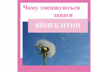 Репродуктолог Київ: Чому зменшуються запаси яйцеклітин? Репродуктолог Київ: Чому зменшуються запаси яйцеклітин?