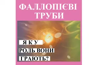 Репродуктолог Київ: Фаллопієві труби, яку роль вони відіграють?