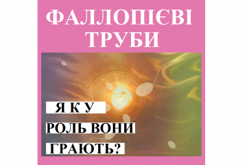 Репродуктолог Київ: Фаллопієві труби, яку роль вони відіграють? Репродуктолог Київ: Фаллопієві труби, яку роль вони відіграють?