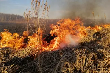 ​Влада готує компенсації тим, хто втратив майно через пожежі на Житомирщині – Володимир Зеленський