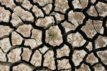 Кліматологи попереджують, що цей рік може стати найспекотнішим в історії, – Reuters  Кліматологи попереджують, що цей рік може стати найспекотнішим в історії, – Reuters