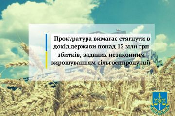 Прокуратура вимагає стягнути в дохід держави понад 12 млн грн збитків, заданих незаконним вирощуванням сільгосппродукції Прокуратура вимагає стягнути в дохід держави понад 12 млн грн збитків, заданих незаконним вирощуванням сільгосппродукції