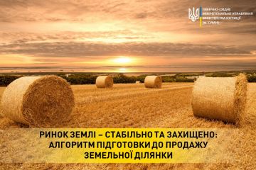 Ринок землі – стабільно та захищено: алгоритм підготовки до продажу земельної ділянки Ринок землі – стабільно та захищено: алгоритм підготовки до продажу земельної ділянки