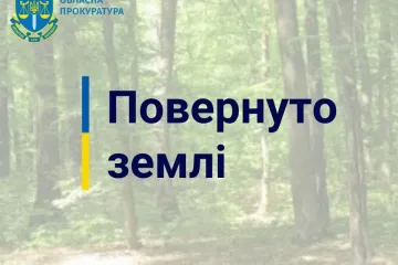 ​Прокуратура повернула у державну власність землі лісогосподарського призначення вартістю 211 млн грн