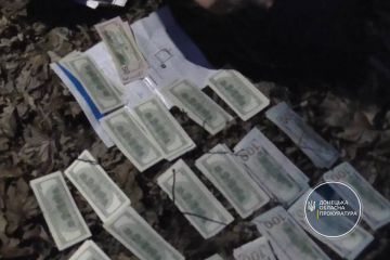 Взято під варту чоловіка, який викрав у знайомого 20 тис доларів США і 5100 євро (ФОТО) Взято під варту чоловіка, який викрав у знайомого 20 тис доларів США і 5100 євро (ФОТО)