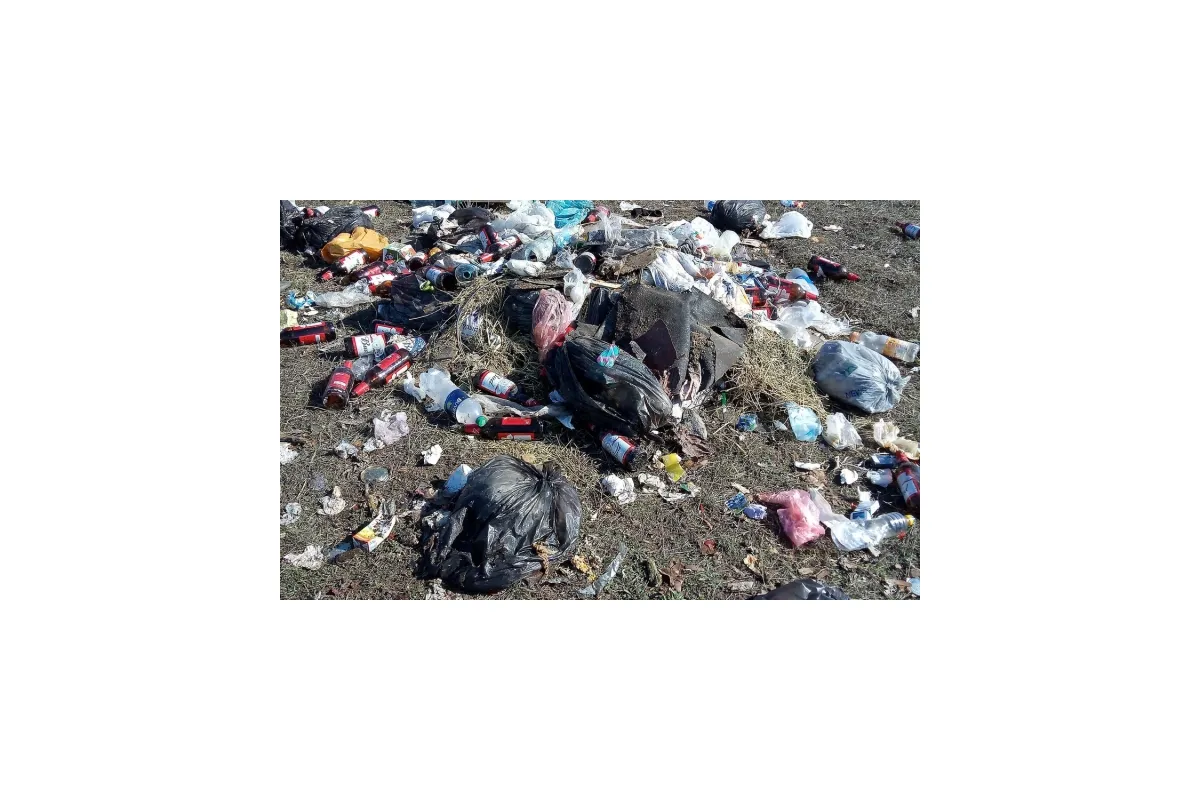 Сміття наступає: Новоолександрівська ОТГ потерпає від несанкціонованих смітників