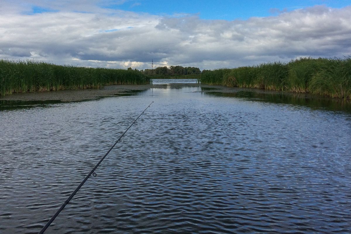 Внаслідок аварії на воді загинула людина Внаслідок аварії на воді загинула людина