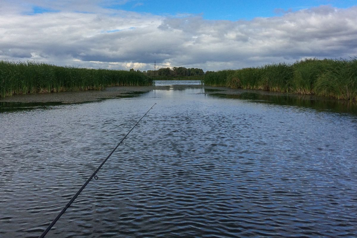 Внаслідок аварії на воді загинула людина