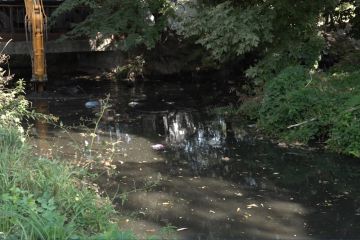 На порятунок річки Гнилокіш міськрада Дніпра виділить 4 мільйони гривень На порятунок річки Гнилокіш міськрада Дніпра виділить 4 мільйони гривень