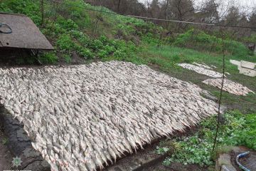 В Україні з 1 квітня запроваджено нерестову заборону В Україні з 1 квітня запроваджено нерестову заборону