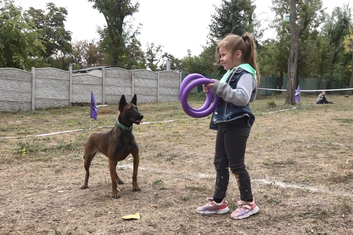 Собаче диско: турнір з Dog Puller пройшов у Дніпрі