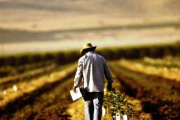 В Украине еще один фермер покончил с собой из-за потери урожая  В Украине еще один фермер покончил с собой из-за потери урожая