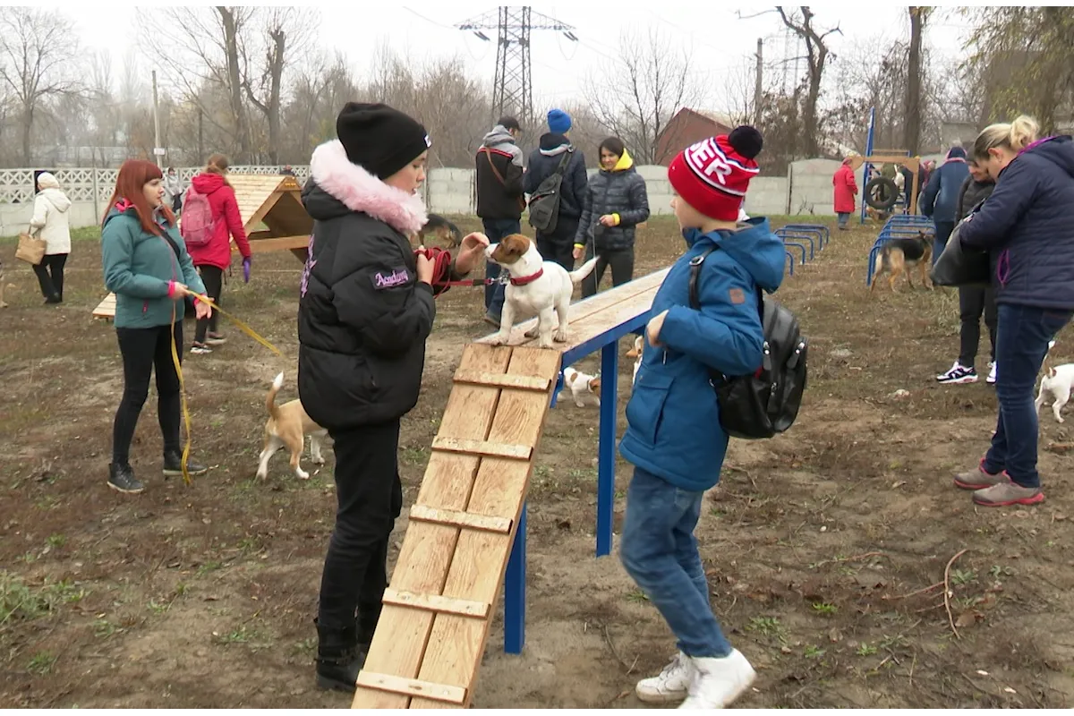Законний вигул: перший муніципальний майданчик для собак відкрили у Дніпрі