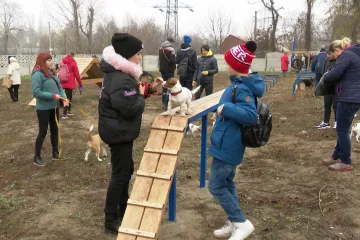 ​Законний вигул: перший муніципальний майданчик для собак відкрили у Дніпрі