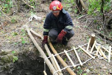Рятувальники Дніпропетровщини визволили двох песиків Рятувальники Дніпропетровщини визволили двох песиків