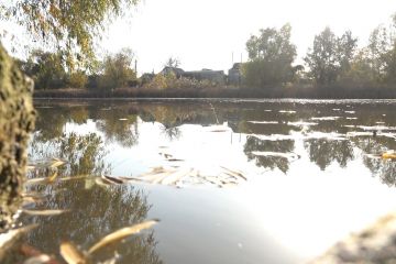 У системному забрудненні озера Курячого підозрюють одного з чиновників “Дніпроводоканалу” У системному забрудненні озера Курячого підозрюють одного з чиновників “Дніпроводоканалу”