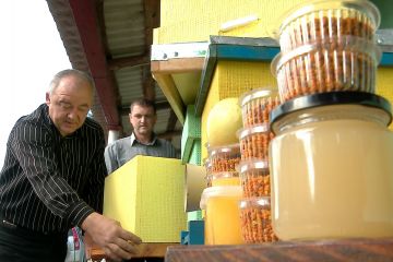 Бджолиний стартап: п’ятірка сміливців почала свій бізнес у селі Бджолиний стартап: п’ятірка сміливців почала свій бізнес у селі